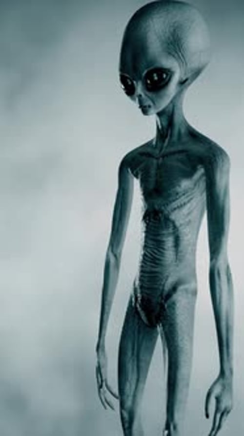 Gruseliges graues Alien steht und sieht blinzelnd auf einem