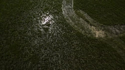 Aerial View of Bog Lands Near the River Valley