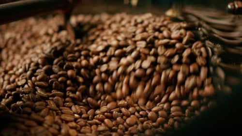 Roasted Coffee Beans Being Stirred Inside Machine
