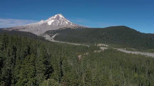 Aerial flying low to treetops toward Mt. Hood in the Cascade mountain range in Oregon.