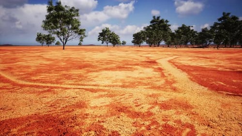 Arid Landscape with Dry Red Earth and Scattered Trees