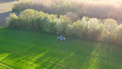 Aerial view of tractor with sprayer drive on green wheat field near forest