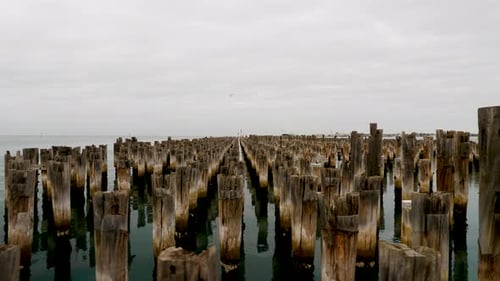 Princess Pier, Port Phillip in Port Melbourne
Pilings On Old Pier for new immigrants in melbourne