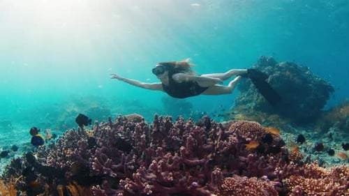 Young woman swims in the ocean. Female freediver glides underwater over the coral reef