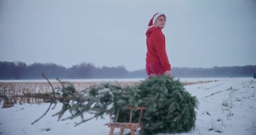 Jeune homme tirant un traîneau avec un arbre de Noël sur un paysage enneigé