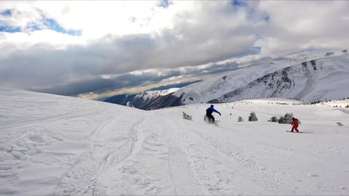 Snowboarders descend by the mountain slope riding among the little fir-trees.