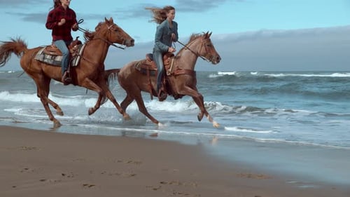 Horseback Riding in Natural Setting