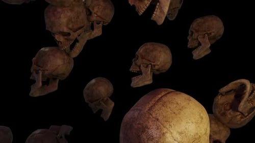 Grunge 3D Falling Skulls Animation for Halloween Projects