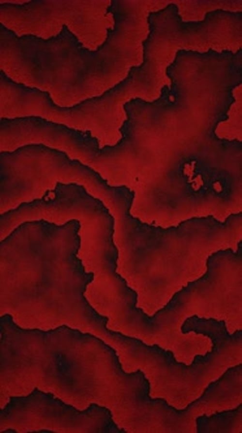 Abstract Red Fluid Organic Flowing Background Loop