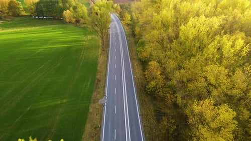 Aerial View Empty Asphalt Road with Yellow Forest in Autumn