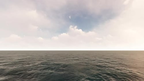 Flight Over The Ocean