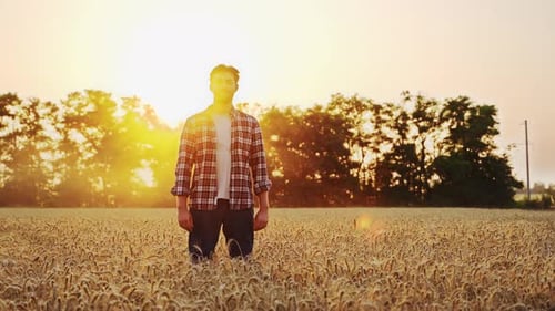 Portrait of Happy Farmer Standing in Ripe Wheat Field and Crossing Arms on Chest Proud Agronomist