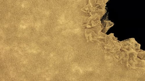 Golden Fluid Particle Reveal Transition