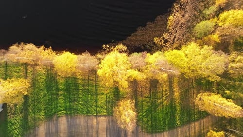 Recreational Vehicles Amidst Autumn Colors In Birch Forest By The Lake At Sunset In Sweden. aerial t