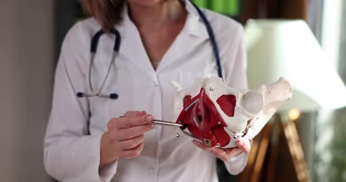 Woman Doctor Explains Pelvis Anatomy with Model