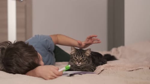 Child Pets Cat Lying on Bed Indoors