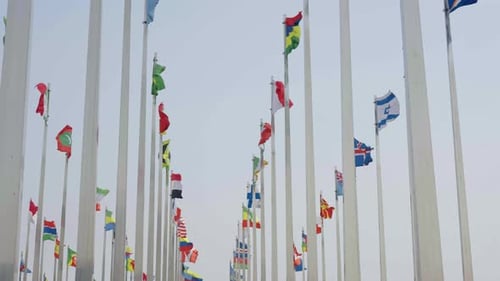 Many International Flags Waving on Silver Poles
