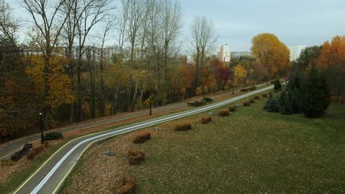 Autumn City Park. A Cycle Path Winds Between The Trees. Trees With Colorful Leaves.