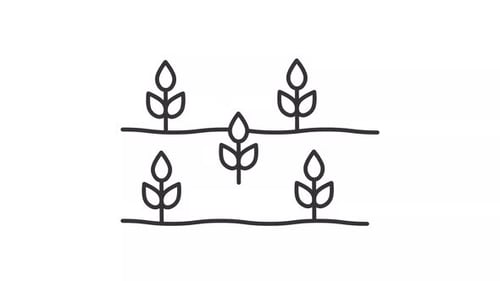 Animated sprouts in field line icon