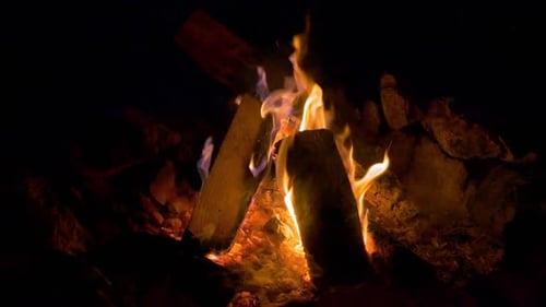 Cam Fire