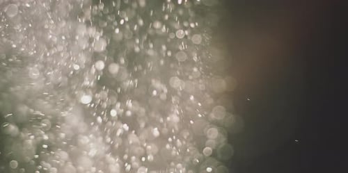 Organic Dust Particles