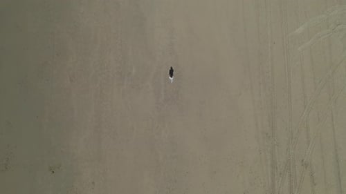 Lone Figure Walking on Sandy Beach from Above