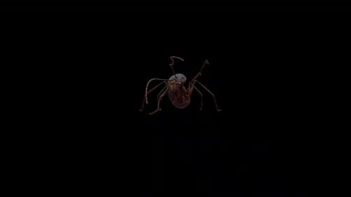 Red Ant Idle Front