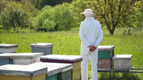 Male apiarist on a bee farm.
