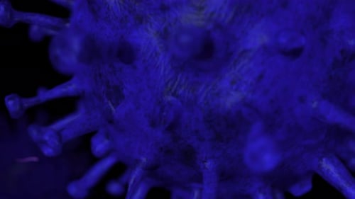 Microscopic view of virus cells flowing.