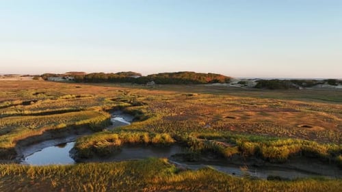 Salt marsh and sand dunes at sunrise at Cape Cod bay, Barnstable, Massachusetts, USA