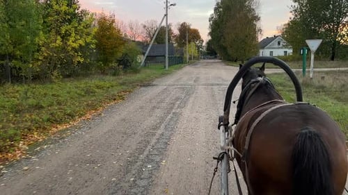 A Harnessed Horse Rides Through the Village