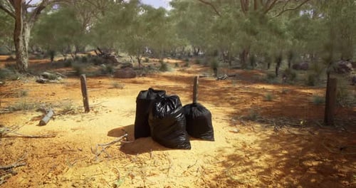 Litter in Dry Areas Highlights the Need for Conservation Efforts