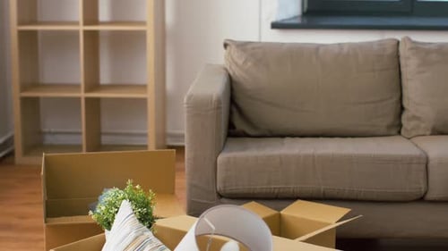 Moving, People And Real Estate Concept - Happy Man With Floor Lamp Arranging Room At New Home