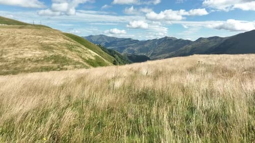 Aerial view of a wide mountain valley featuring yellow dry grasslands in the foreground