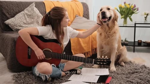 Woman Plays Guitar with Golden Retriever Dog