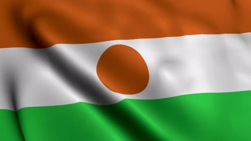 Niger Flag Waving Seamlessly Realistic 3D Animation