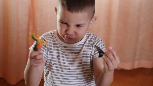 Young Child Playing with Toy Animals Indoors