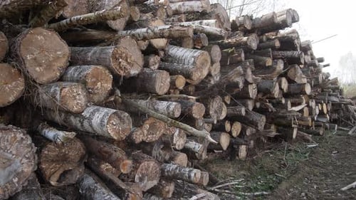 The Logging Industry Concept