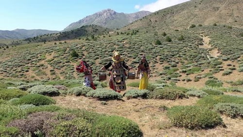 Vue aérienne de femmes et de filles vêtues de vêtements traditionnels transportant de la nourriture sur la montagne 4