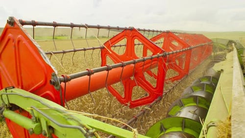 Under the Sun's Rays the Combine Does Its Work in the Wheat Field