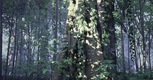 Majestic Tree Surrounded By Lush Greenery in a Tranquil Forest Setting