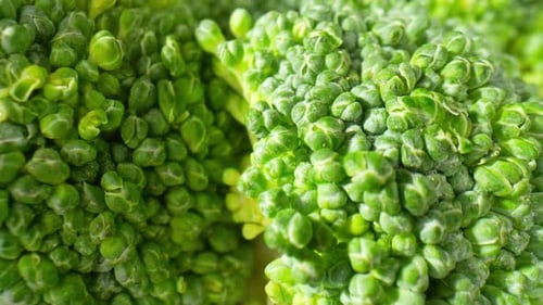 Close Up of Vibrant Green Broccoli Florets