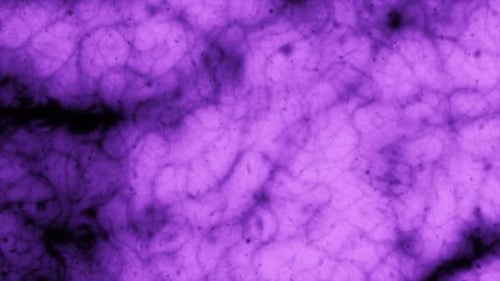 Abstract microscope cell texture