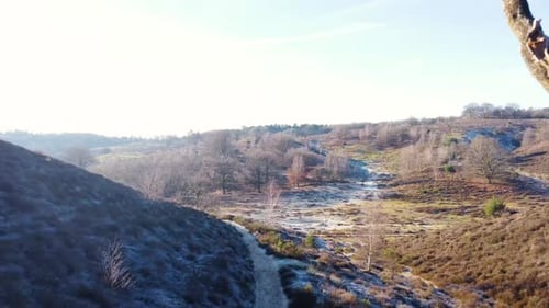 Drone shot through dead branches looking over a sunny nature national park.
