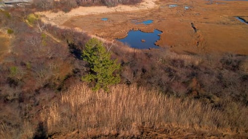 An aerial view of the dry grass and salt marsh in Freeport, NY on a sunny day. The drone camera truc