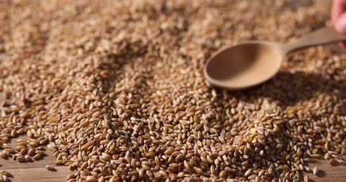 Grains Scattered on a Table with Wooden Spoon