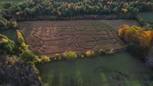 Aerial View of Signs in Drawn Crops, House Drawing in Farming Field on Sunny Fall Day, Drone Shot