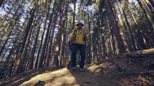 Couple Exploring the Forest Using a Map