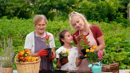 Grandmother Mother and Daughter are Planting Flowers in the Garden