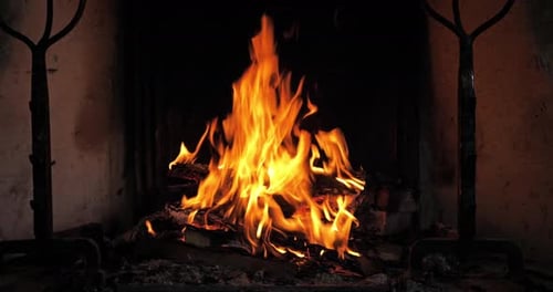 Fireplace in the living room